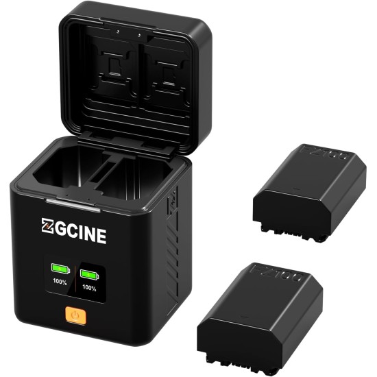 ZGCINE PS-FZ100 Charging Case